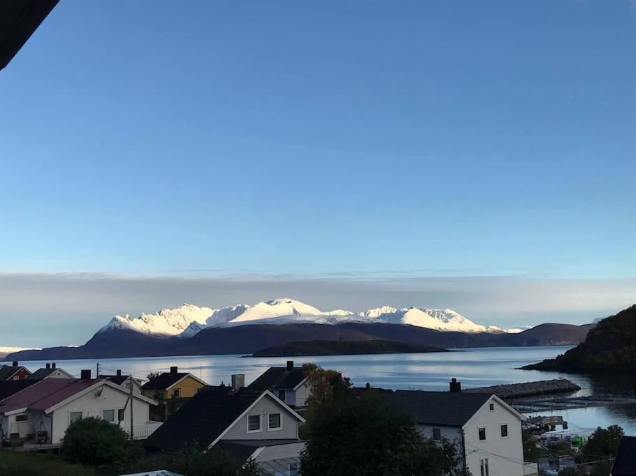 Perfect Apartment For Whale Safari At Skjervoy! Extérieur photo